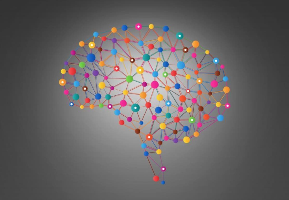How Quickly Junk Food Rewires The Brain For Obesity (M)